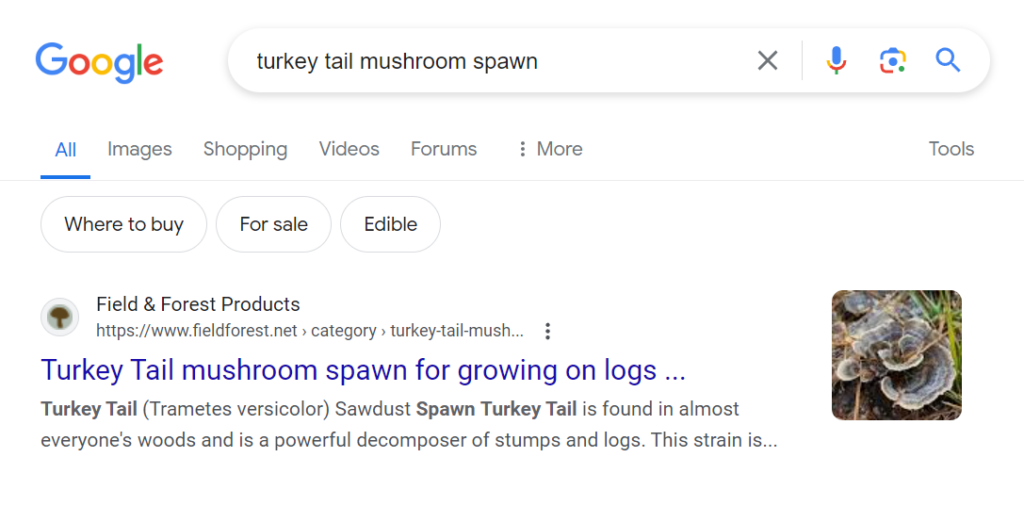 Google SERP example for "turkey tail mushroom spawn"